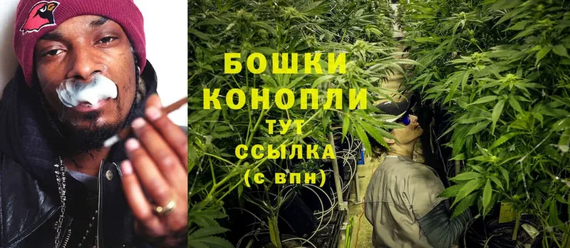 Марихуана THC 21%  omg как зайти  Луга  где продают  